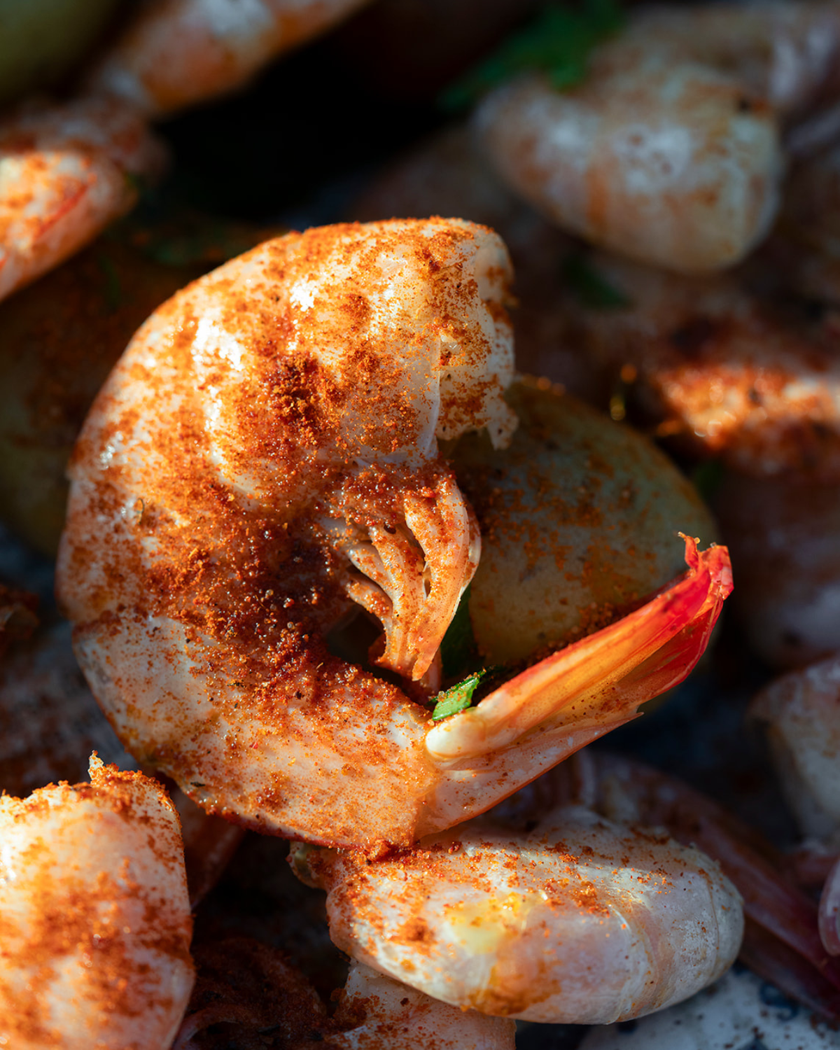 Folly's Lowcountry Seasoning